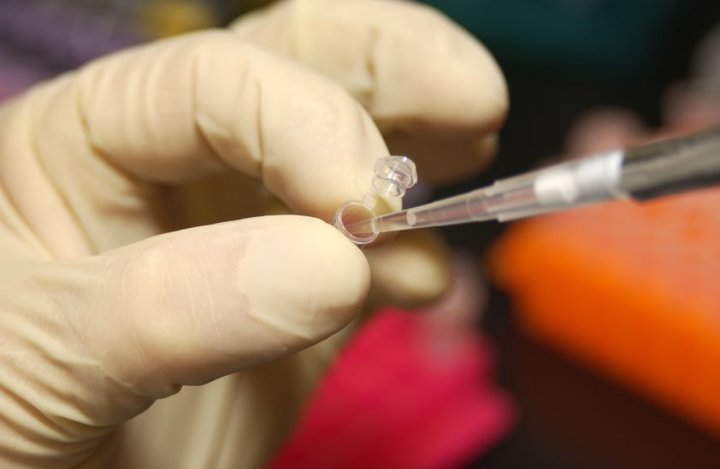 NHGRI_researcher_uses_a_pipette_to_remove_DNA_from_a_micro_test_tube.jpg