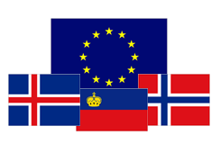 EES-samningurinn er eitt víðtækasta alþjóðasamstarfið sem Ísland tekur þátt í en segja má að EES-samningurinn sé brú milli Íslands og annarra EFTA-ríkja innan EES á innri markaði Evrópusambandsins.