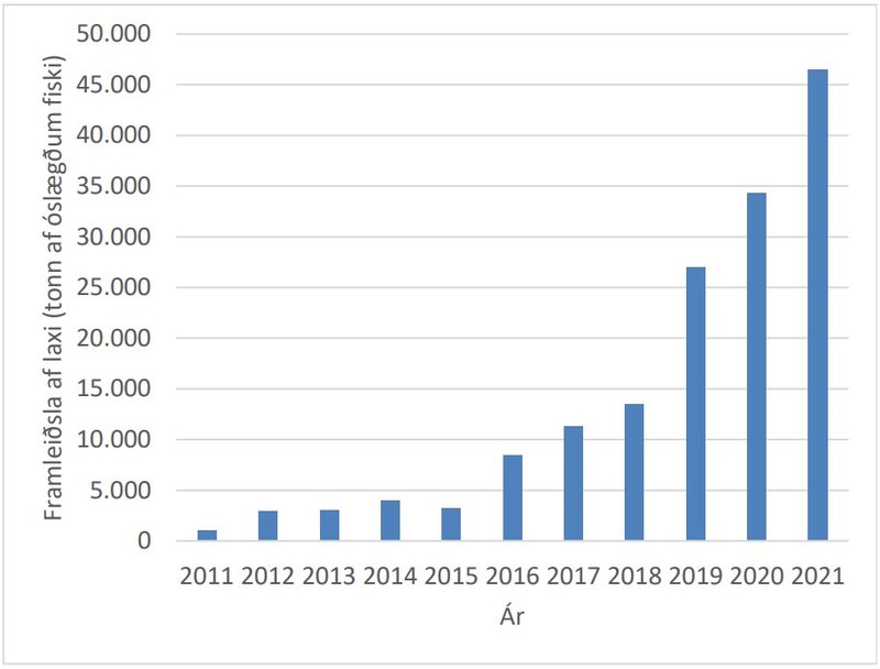 Árleg framleiðsla af laxi í fiskeldi 2011-2021. Mynd: Grænbók