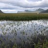 Líffræðileg fjölbreytni er grunnþáttur í viðhaldi vistkerfa í sjó, á landi, í vatni og lofti.