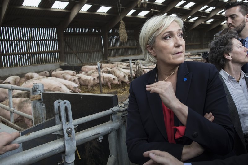 Marine Le Pen hefur mælst með mest eða næst mest fylgi í öllum skoðnakönnunum síðan í febrúar. Mjög líklegt er að hún komist áfram í seinni umferð kosninganna. Hér er hún í heimsókn í svínastíu.