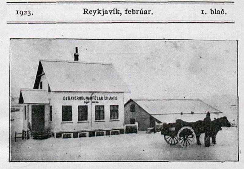 Húsakostur Dýraverndarfélags Íslands, Tunga í Reykjavík, 1923. Myndin er úr Dýraverndaranum 1. tb. 1923.