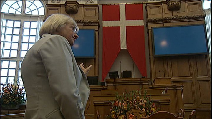Þegar Pia Kjærsgaard var forseti danska þingsins á árunum 2015-2019 lét hún hengja upp stóran danskan fána í þingsalnum.
